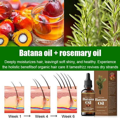 [Hair volume increases rapidly] Promote hair growth and strengthen hair care essential oil✨