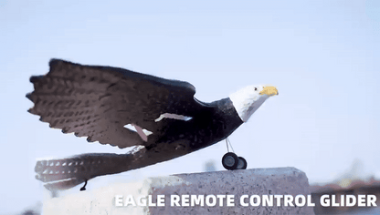 RC Eagle For Kids